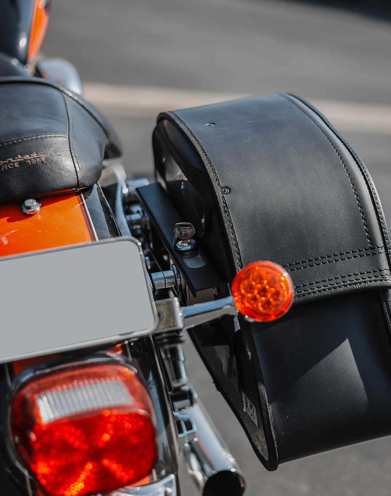 Viking Saddlebags Quick Disconnect System For Harley Davidson Sportster - Image 6